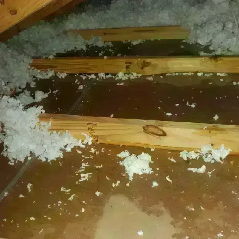 Attic Water Damage in Enoch, UT