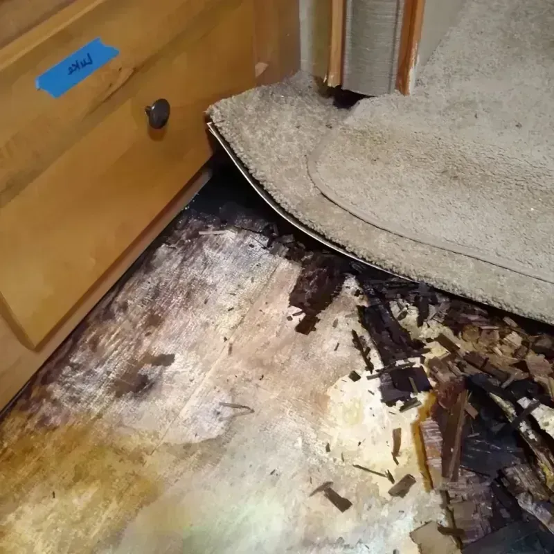 Wood Floor Water Damage in Enoch, UT